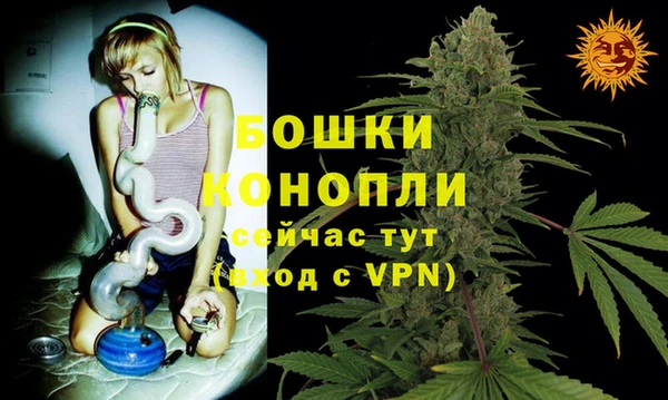 стаф Волоколамск
