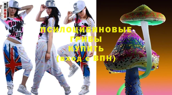 стаф Волоколамск