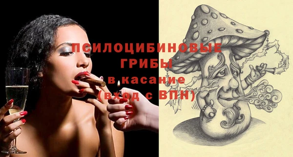 стаф Волоколамск